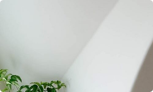 保护环境倡议书15篇-资源网