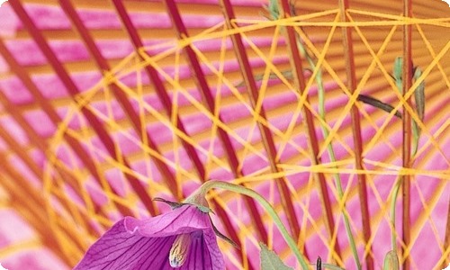 我的自我介绍作文-资源网