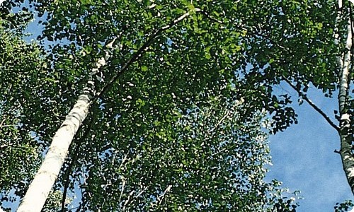 国庆节活动策划方案-资源网