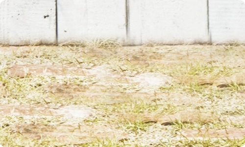 薪酬工作总结-资源网