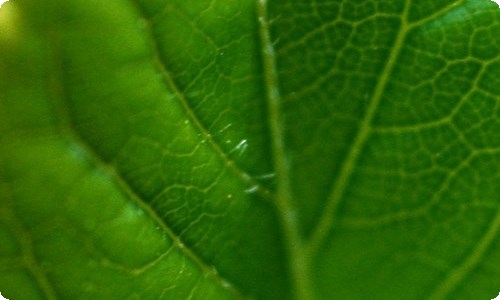 主持人大赛活动策划-资源网