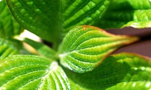 高一物理备课组工作总结-资源网