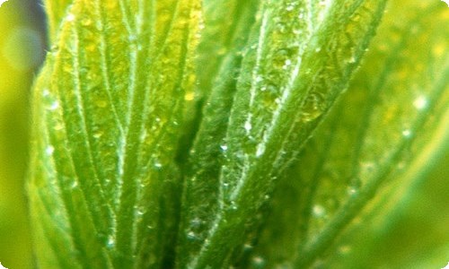【精选】保护环境倡议书4篇-资源网