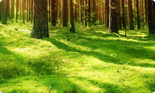 教育工作计划-资源网