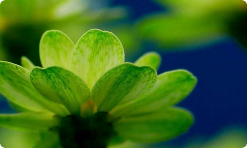 公司活动策划-资源网