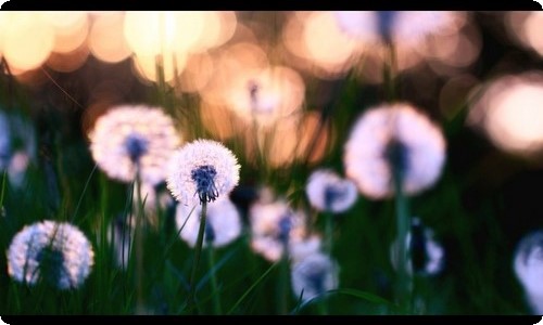 保护环境的倡议书-资源网