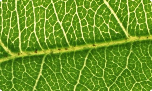 法治宣传活动总结-资源网