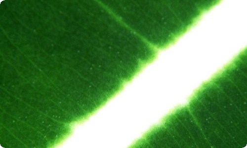 员工的口号-资源网