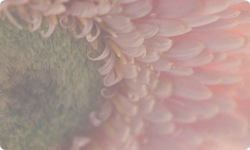 建军节主题活动策划-资源网