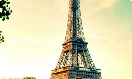 主题活动策划-资源网