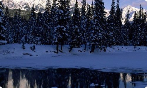 财务个人年度工作总结-资源网