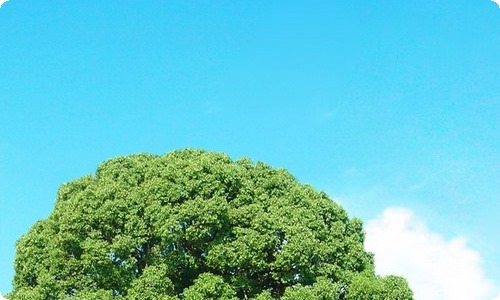 迎新生晚会活动策划-资源网