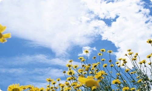 入学自我鉴定-资源网