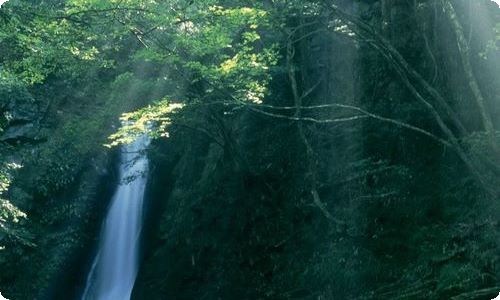 《目送》读后感-资源网