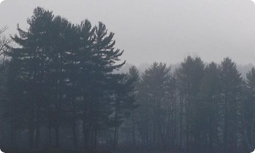 竞选大队长发言稿-资源网