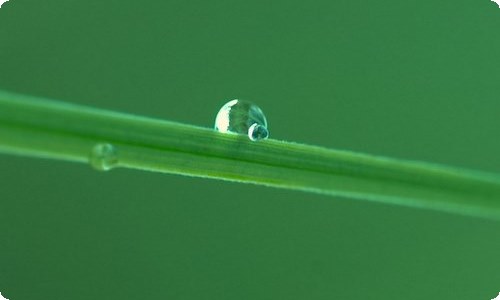 教师节的演讲稿(15篇)-资源网
