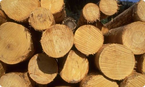 八年级语文《青海湖，梦幻般的湖》教学设计-资源网