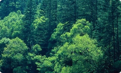 元旦晚会结束主持词15篇-资源网