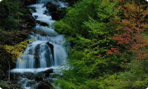 《秘密花园》读后感-资源网