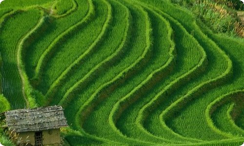 期中考试教师动员会发言稿-资源网