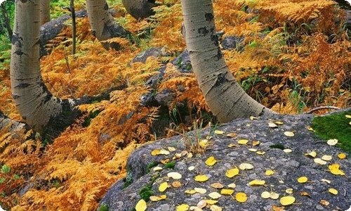初一学生自我介绍(集合15篇)-资源网