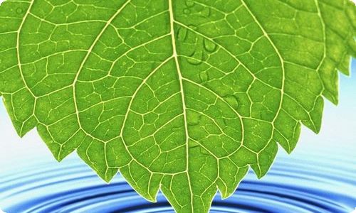 《雷雨》第二课时教学设计-资源网