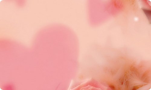 写给公司领导的感谢信-资源网