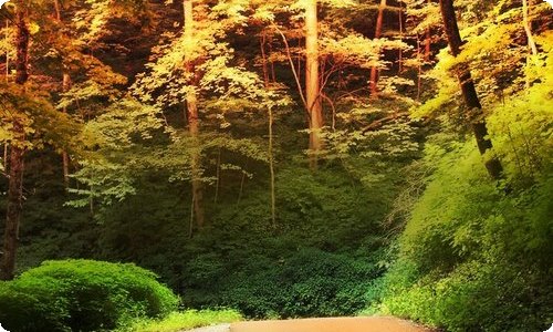 《天气之子》观后感-资源网