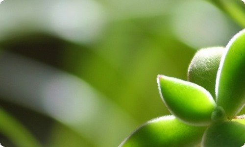 《苏菲的世界》初一读后感600字-资源网