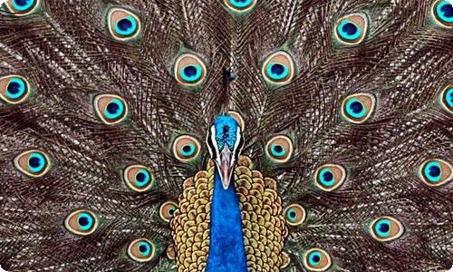 银行开业庆典发言稿-资源网