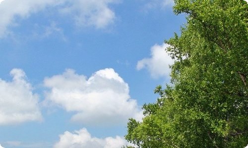 《年 月 日》教学设计-资源网