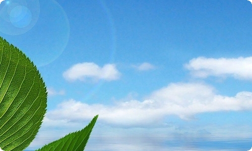 函授本科毕业自我鉴定15篇-资源网