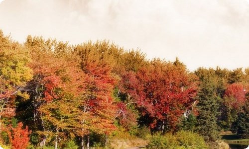 呐喊读后感集合15篇-资源网