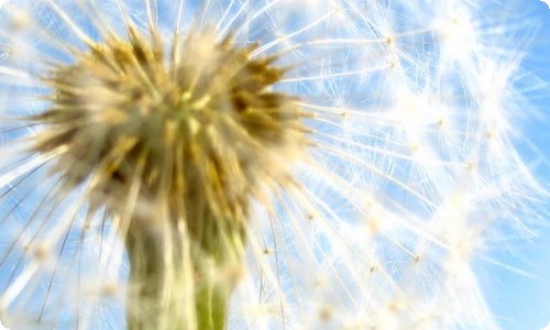 放牛班的春天观后感集合15篇-资源网