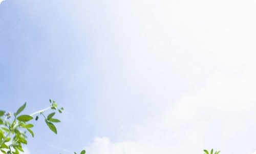 精选教学设计方案模板汇编十篇-资源网