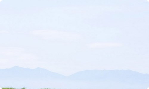 护士辞职报告【热门】-资源网