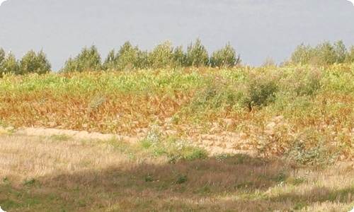 家长会教师发言稿-资源网