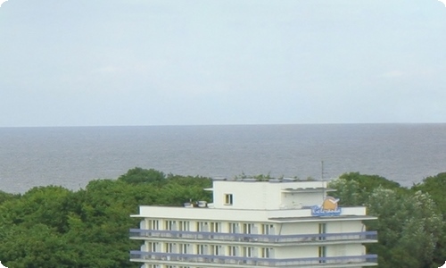 大鱼海棠观后感汇编15篇-资源网