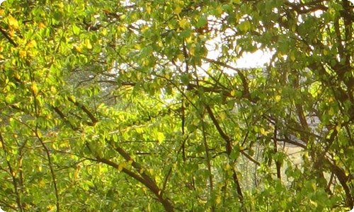 水浒传读后感集合15篇-资源网