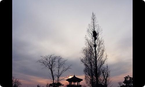 《柳林风声》读后感-资源网