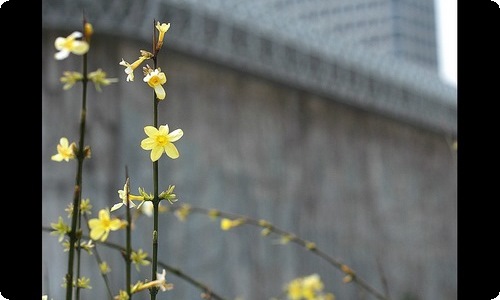 护士辞职报告模板集合10篇-资源网