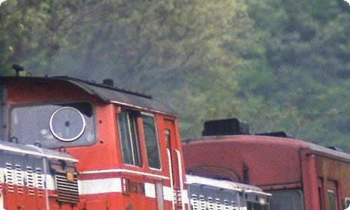 晒晒我们班的牛人初中作文-资源网