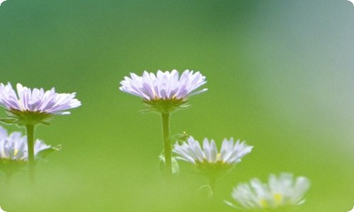 水浒传读后感400字四年级-资源网