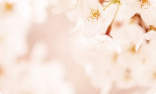 百日誓师大会家长代表发言稿-资源网