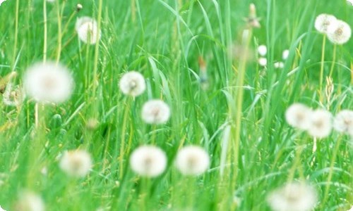 我与地坛读后感15篇-资源网