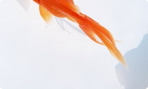 【精品】感谢老师的感谢信范文合集六篇-资源网