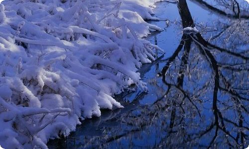 夺冠观后感(集合15篇)-资源网