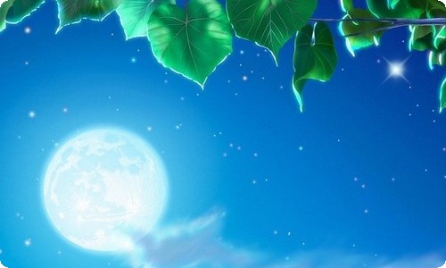 有关给客户的感谢信集合9篇-资源网