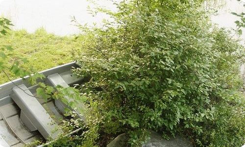 家长会老师发言稿通用15篇-资源网
