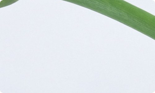 二年级学生代表家长会发言稿15篇-资源网